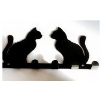 Kočky