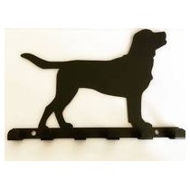Labrador